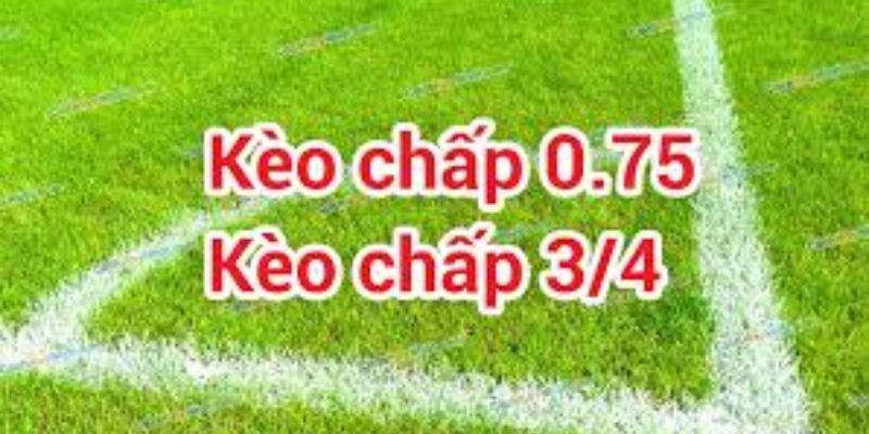 Chiến thuật cược khác nhau