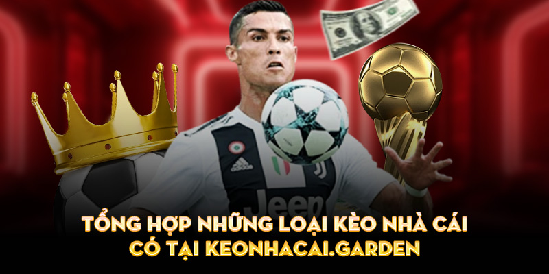 Tổng hợp các loại kèo nhà cái phổ biến